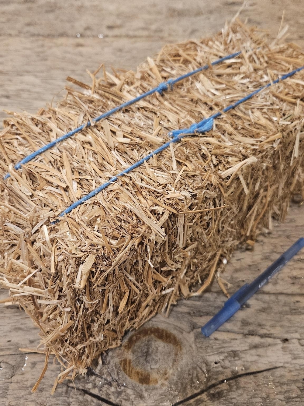 Decorative Mini Straw Bale with Blue Twine
